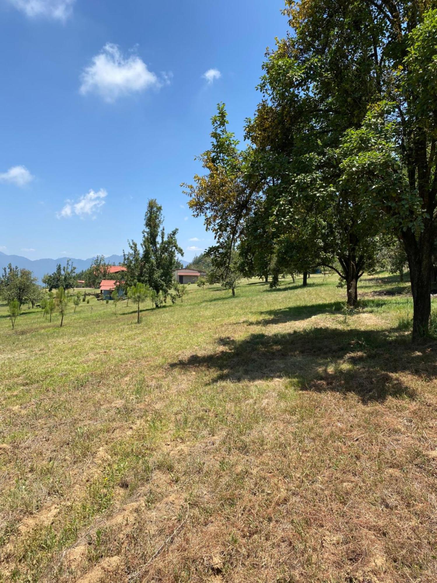 Cabanas Huerta La Mision, Zacatlán Kültér fotó